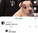 ilkergs50
