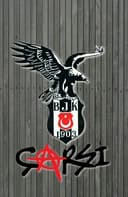 bayburtlu693461