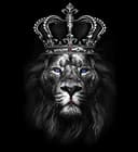 luxurystore