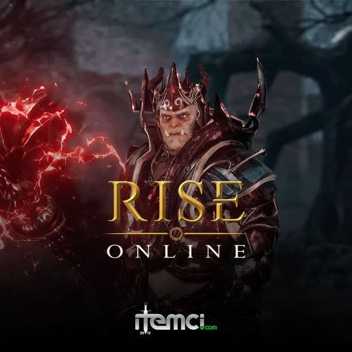 Rise Online Karakter