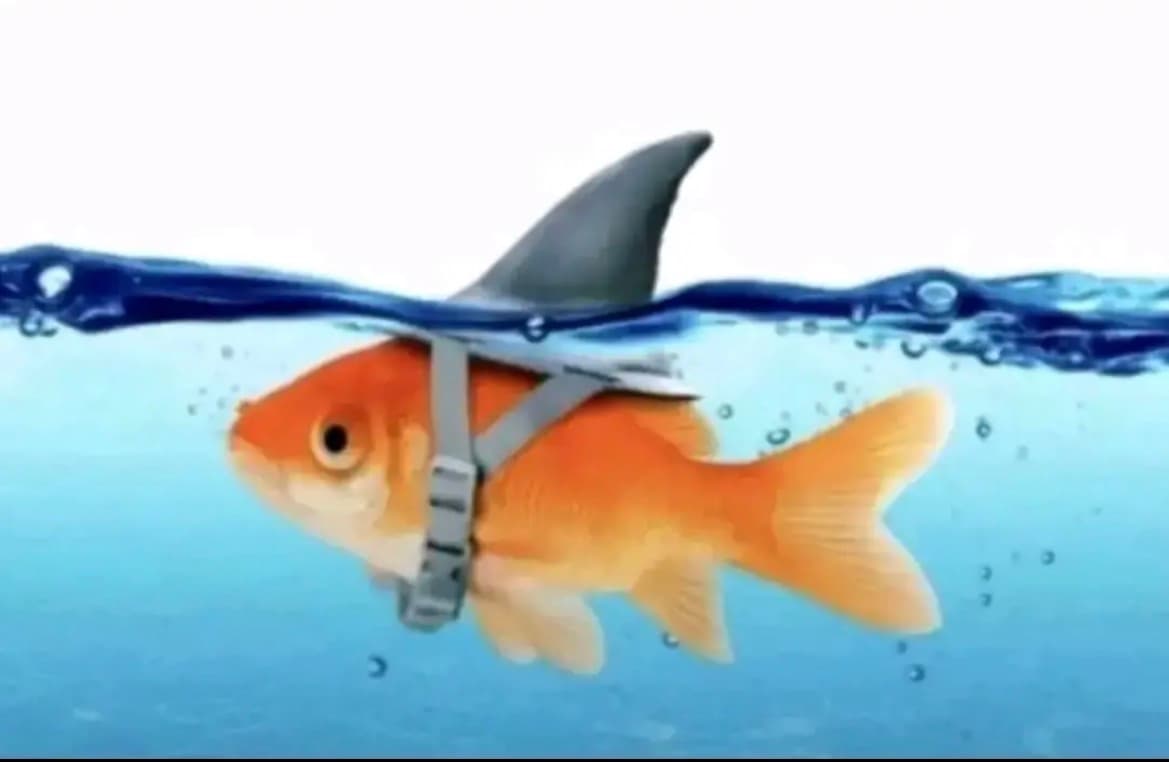 simpleaka