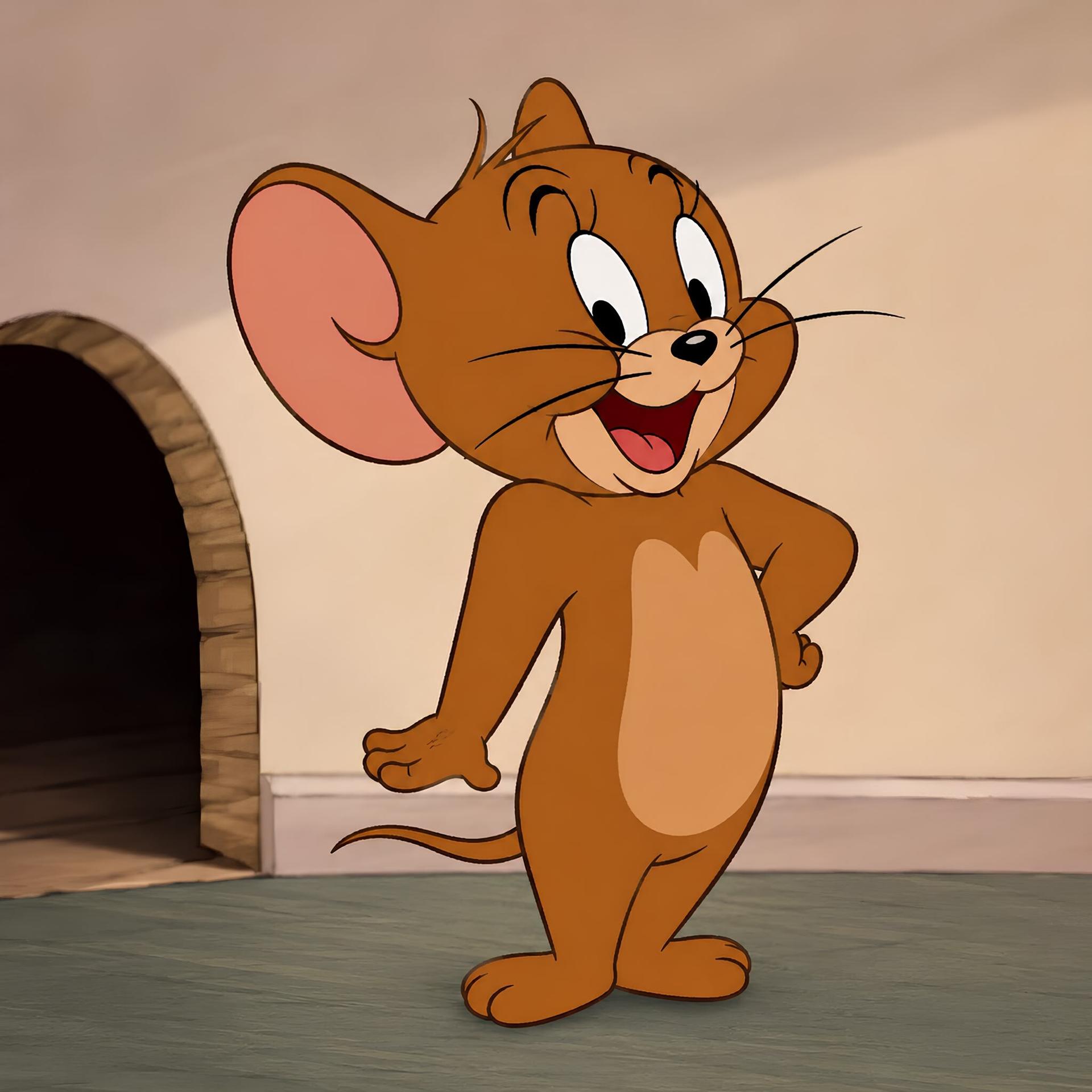 jerrystore