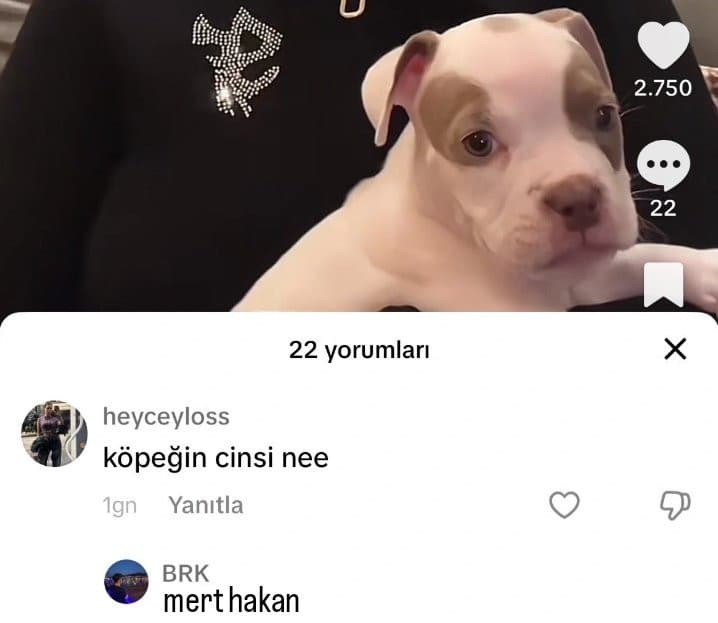 ilkergs50