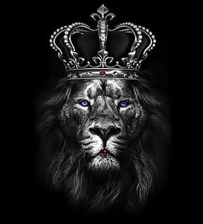 luxurystore