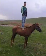 mustafael55