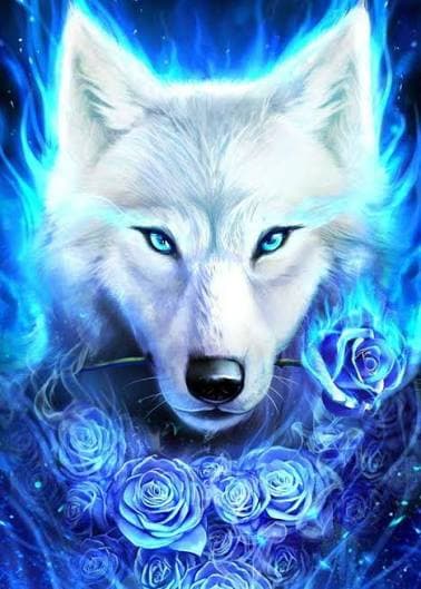 xwolfx88