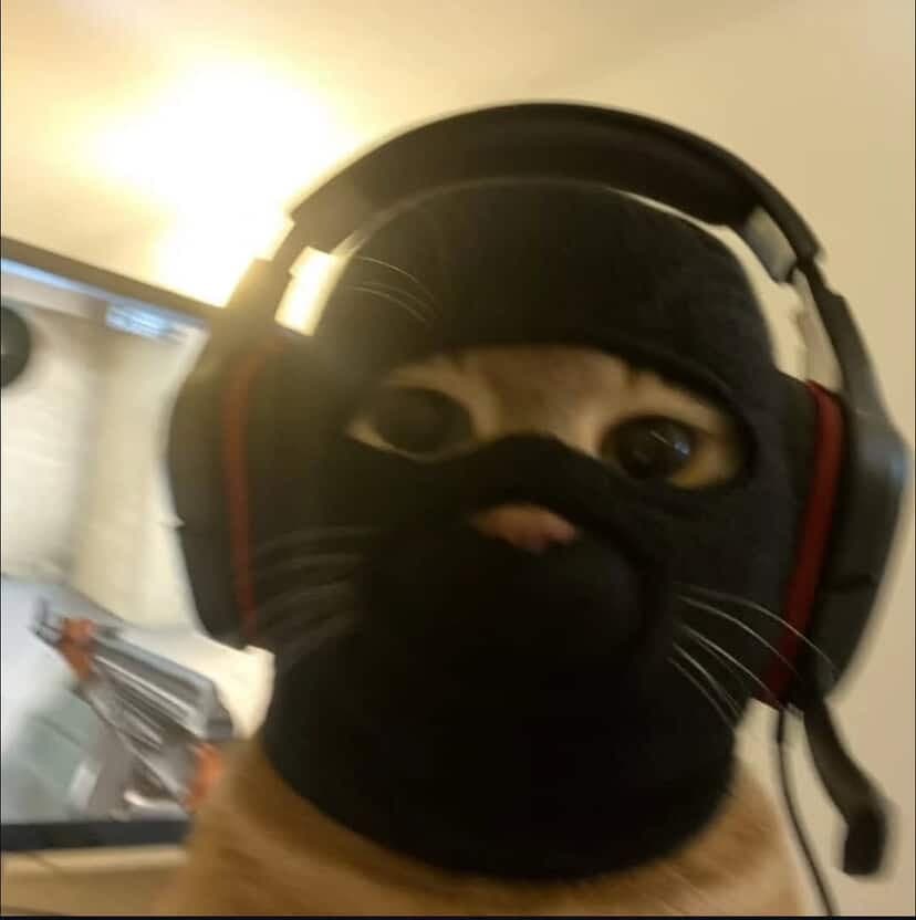 arapslayer