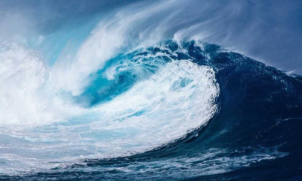 oceanfresh