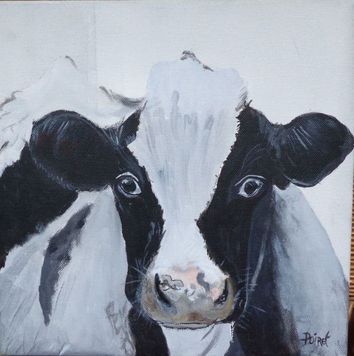 Holstein