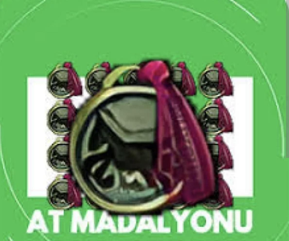 30ADET AT MADALYONU 40TL DEN SATILIR