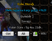 20METİNLİ EJDERHA PALASI KOSTÜM