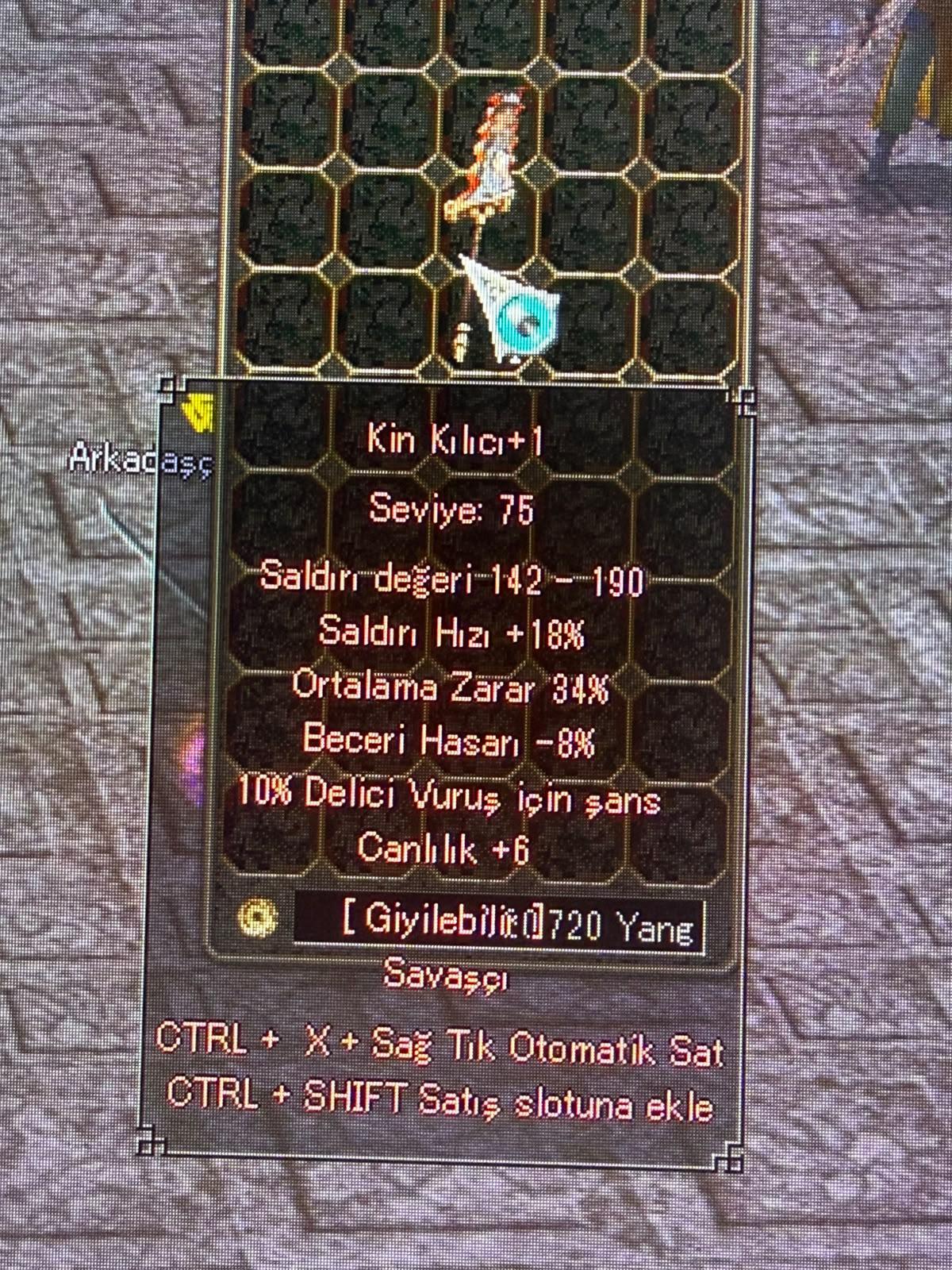 34 ORT 10 DELİCİ KİN KILICI
