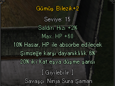 20 EŞYA 10 HP ABSORBE GÜMÜŞ BİLEZİK ELİT