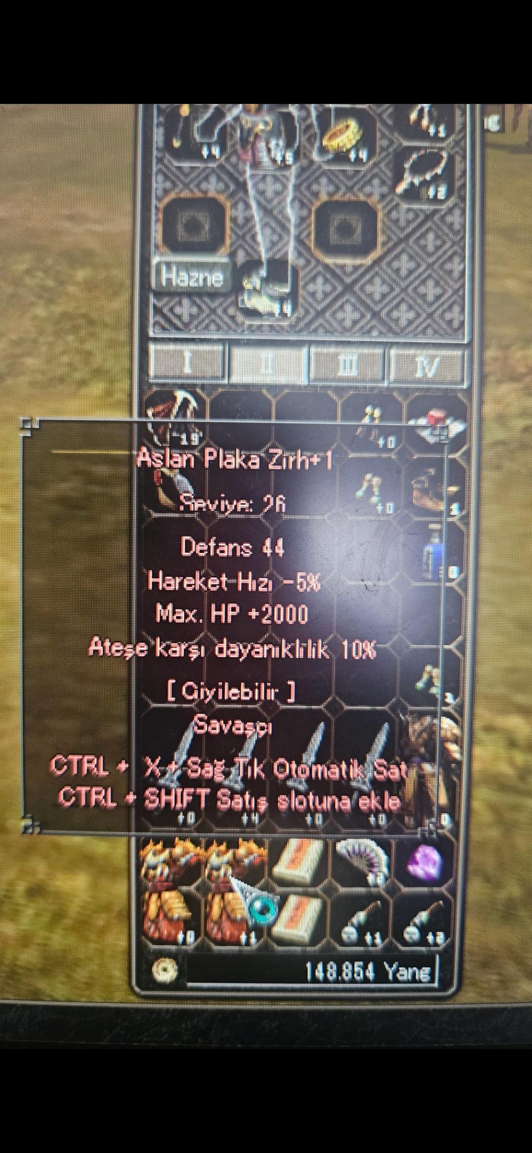 2K HP 10 ATEŞ ASLAN PLAKA