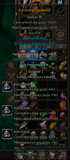 15 T VE 2 +9 RUH İÇ İTEM