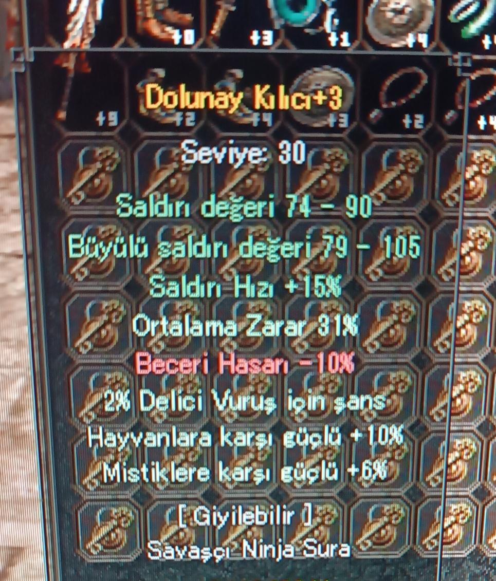 +3 31 ort dolu 10 hayvanlı