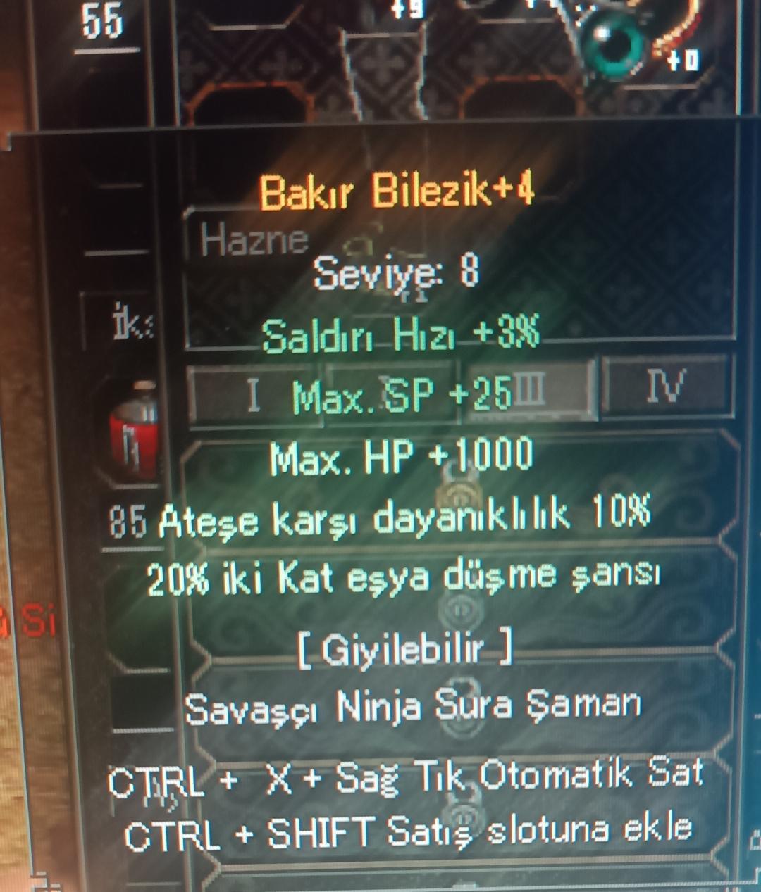 20 eşya 10 ateş 1000 HP bilezik