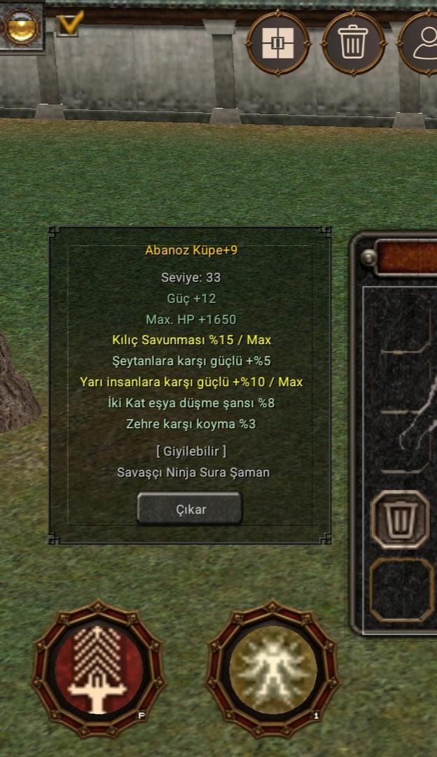 +9 abanoz küpe