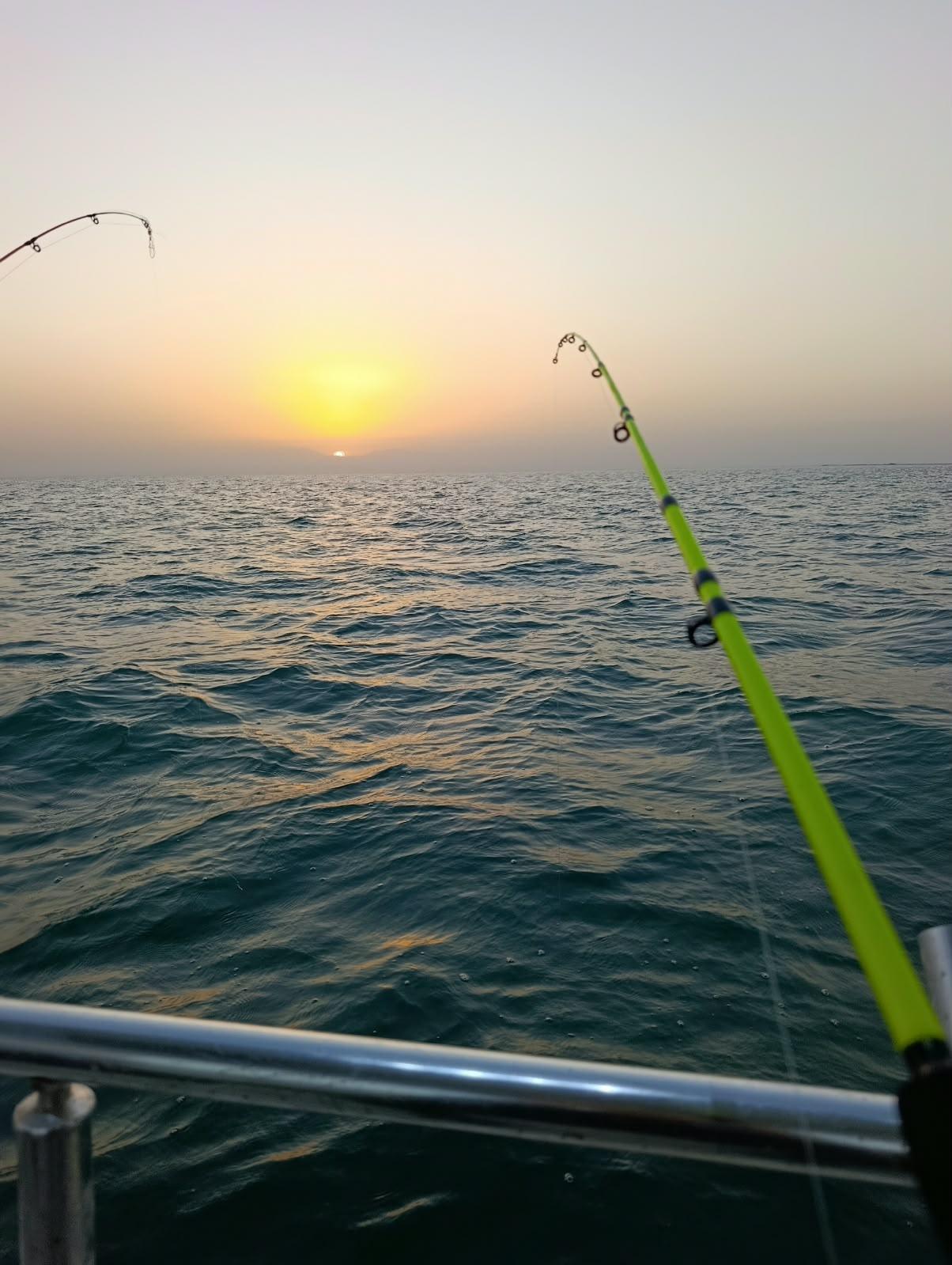 13 TL den m alınır 150m