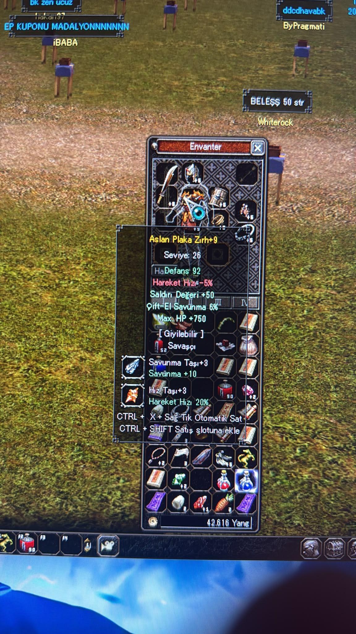 +9 aslan 50 str taşlı