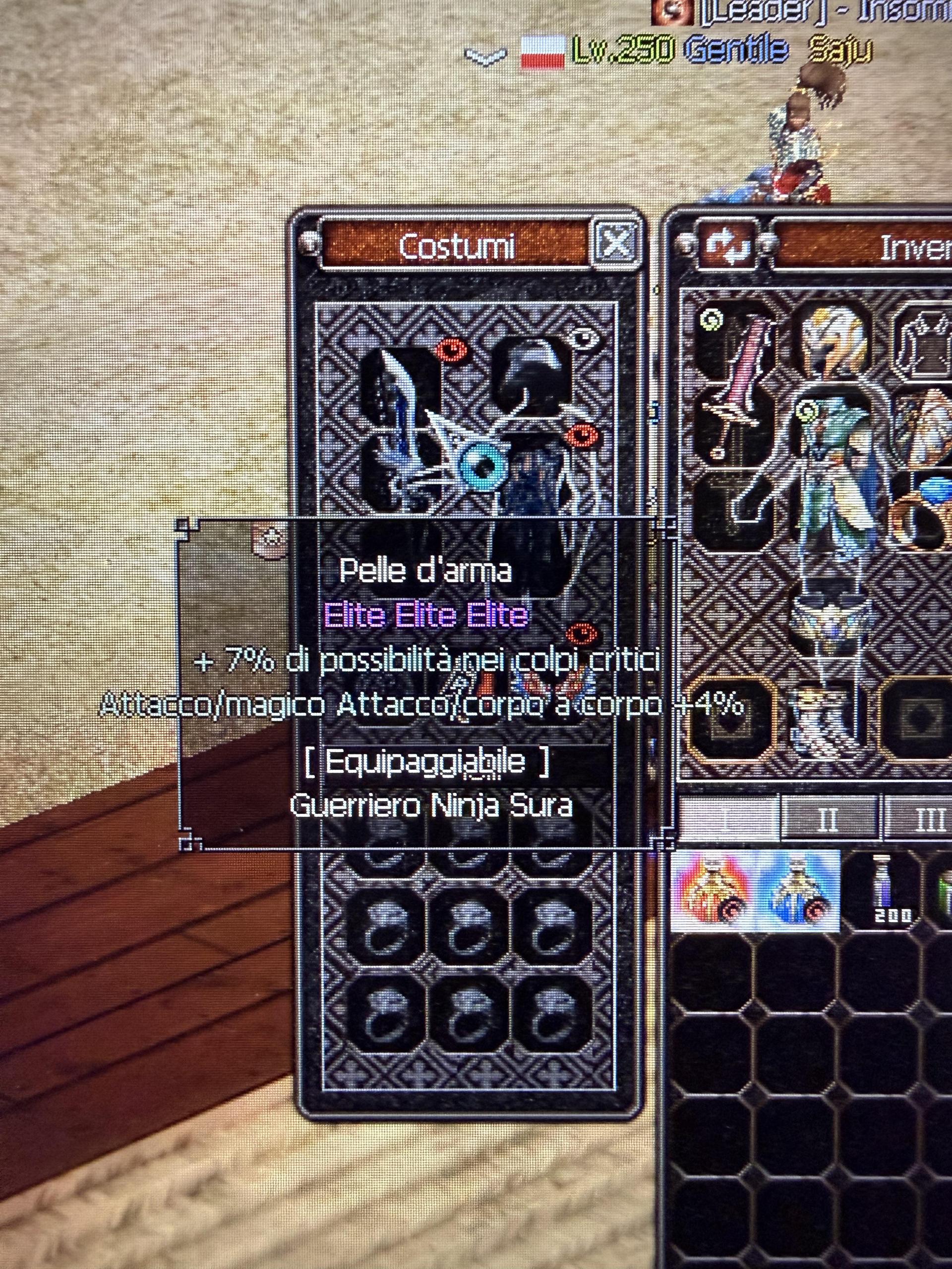 Items and costumes