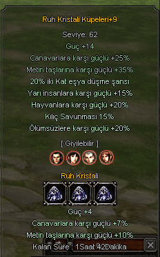 +9 ruh küpe ve ayakkabı hemen teslim