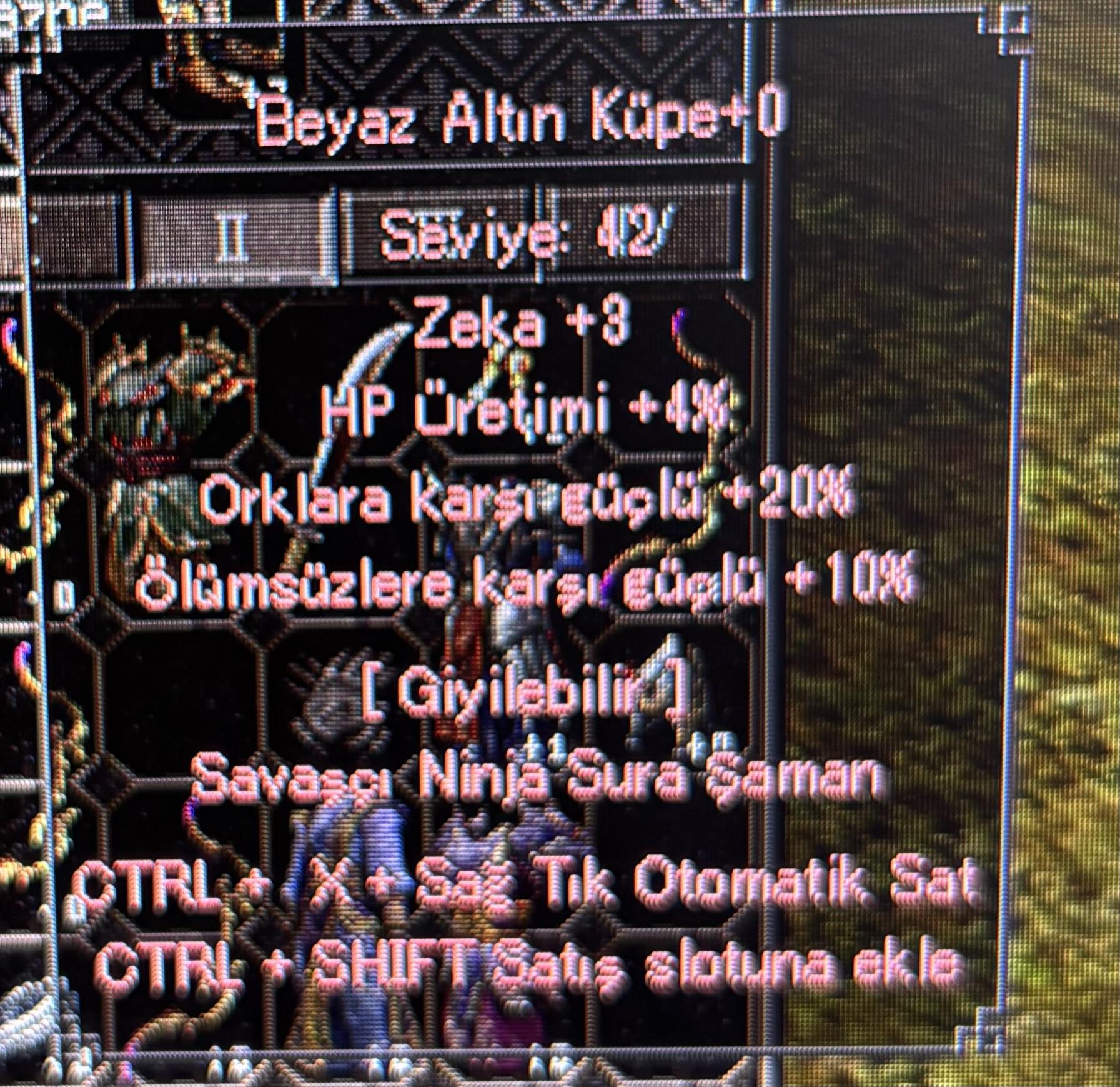 Beyaz altın küpe