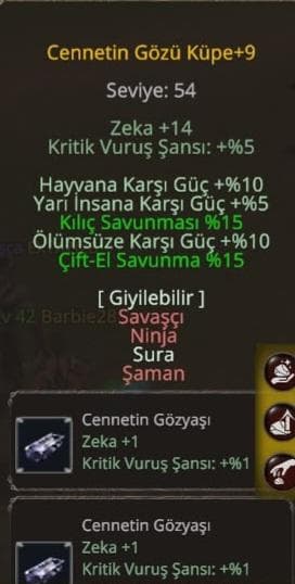 Cennetin Gözü Küpe +9