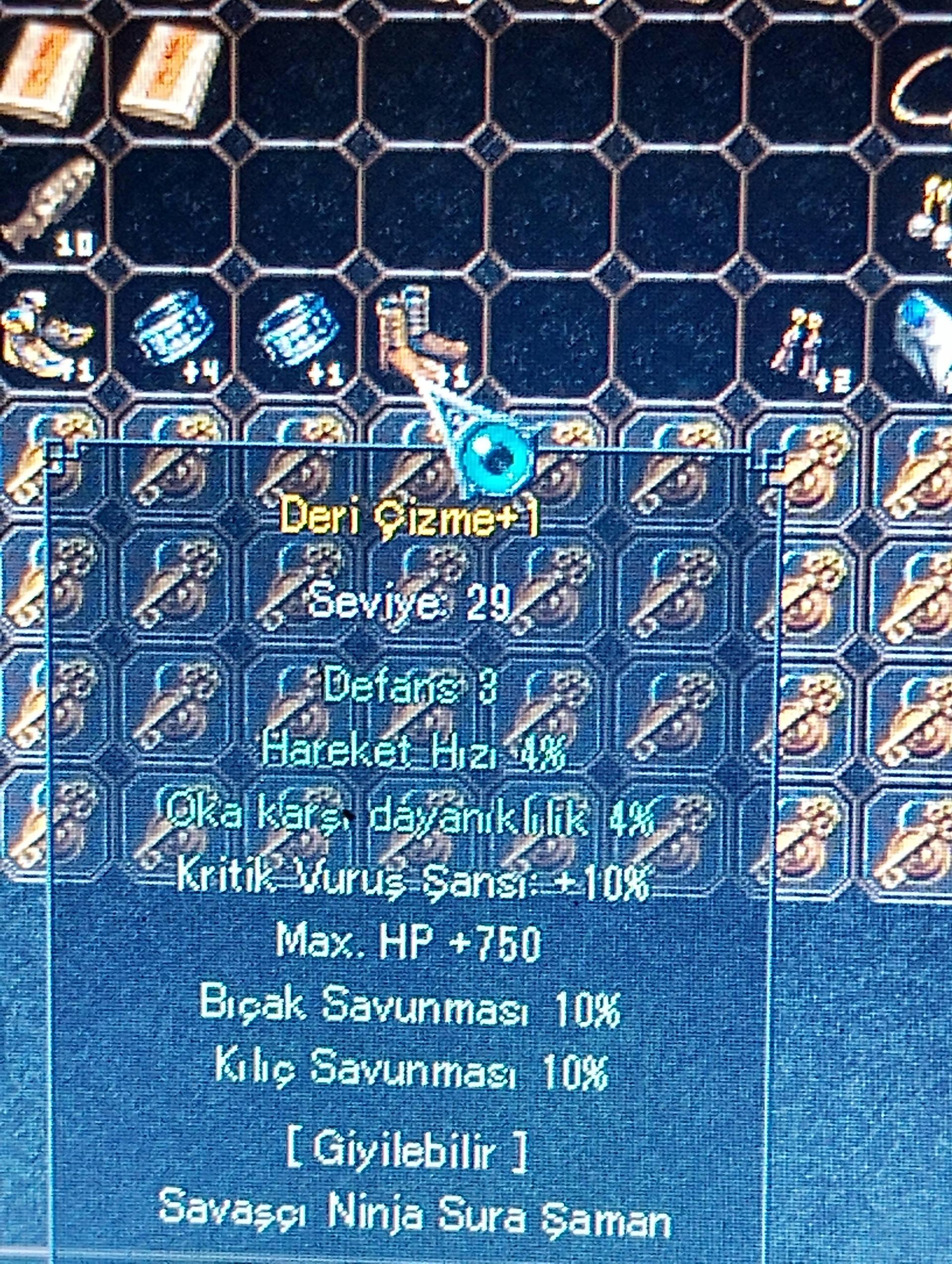 Vslik ayakkabı 4 efsun