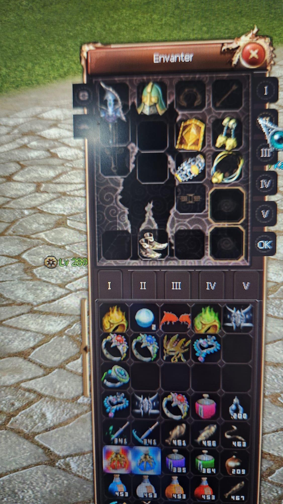 Savaşçı 289 Lvl