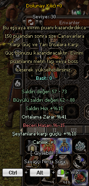 41 ortlama dolu