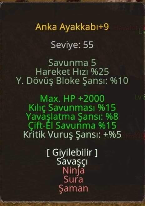 84 LEVEL FUL HESAP