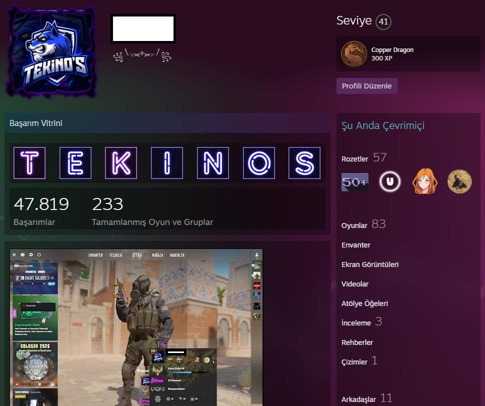 41 LEVEL STEAM HESAP 83 ADET OYUN