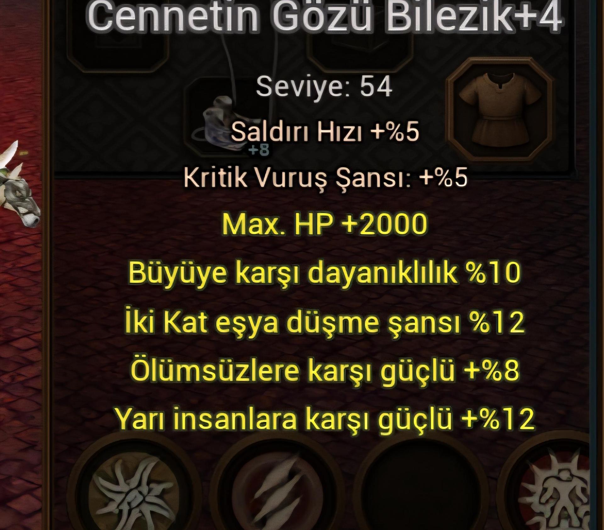Ws lik cennet bilezik