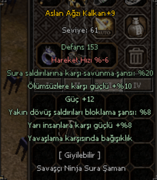 9 ASLAN HIZLI TESLİMAT