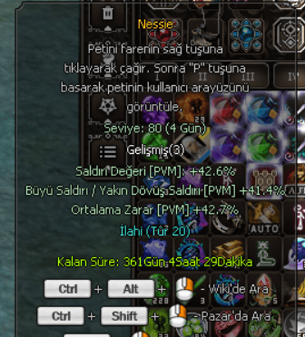80 LVL TİP 20 PET