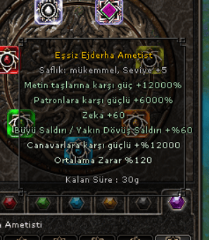 EŞSİZ MÜKEMMEL EJDERHA AMETİST