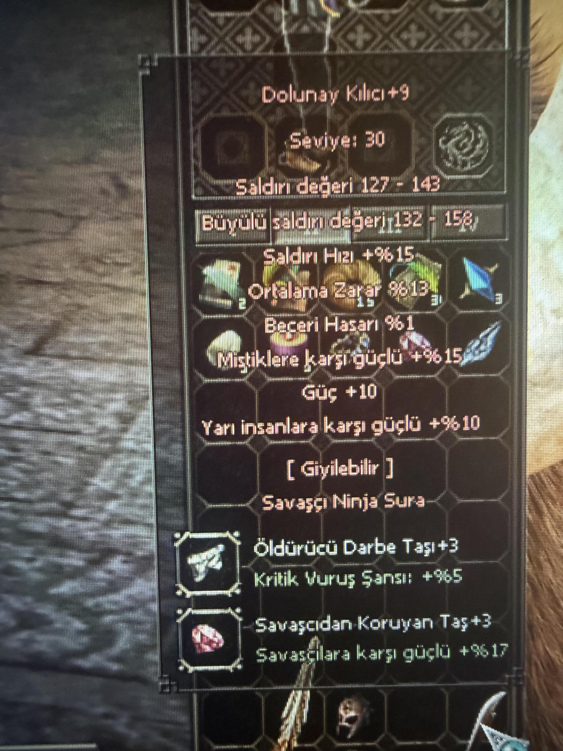+9 DOLU ELİT WS LİK