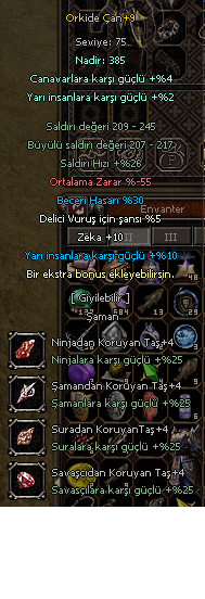 GÖRÜYORSUN ANALTMAYA GEREK YOK