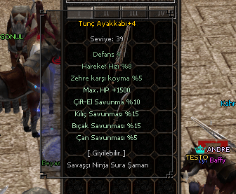 WS LIK TUNC AYAKKABI