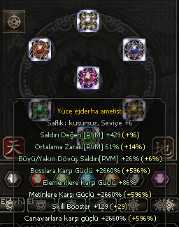 Yüce Kusursuz Set 8/8 +6 Max Oran Son Seviye Simya