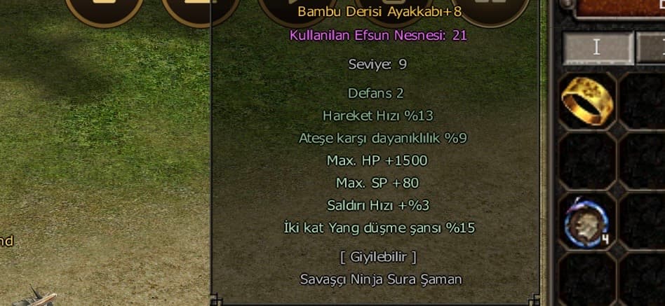 55 LEVEL İTEMLİ HAVA G AT21 FULL ATEŞ P6