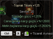 +100 +125 KARIŞIK TILSIM SETİ