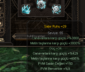 +29 RUH SETİ EFSUNLU