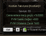 3 ADET 5 SEVİYE 3 ADET 4 SEVİYE KOSTÜM TAKVİYESİ