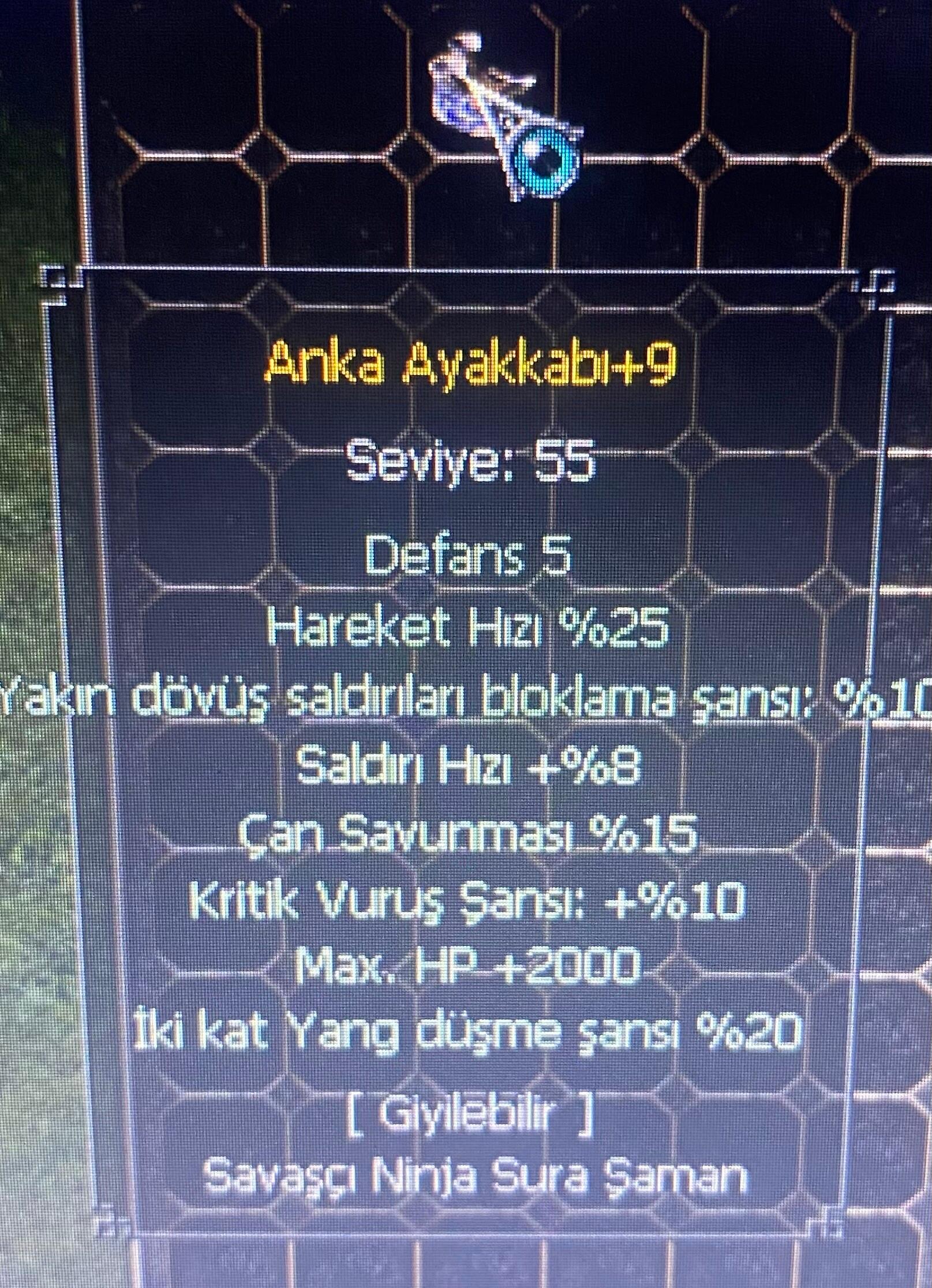 +9ANKA HP KRİTİK SALDIRI HIZI ÇAN KIRIKSIZ