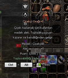 ORAK +5 12000/12000 PUANLI SON SEVİYE ORAK