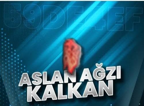 +8 DÜZ ASLAN AĞIZI KALKAN BU FİYATA BULAMAZSIN