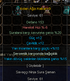 +9 5-5 ASLAN AĞZI