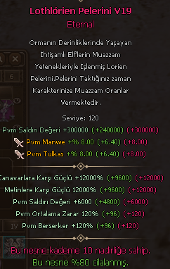 V19 PELERİN